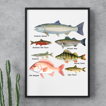 Fish Catalouge Digital Download