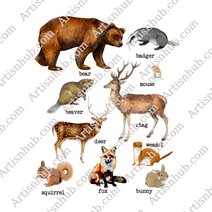 Woodland Animals Clipart Digital Download